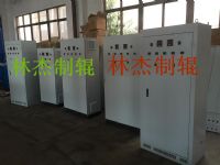 Electromagnetic heating controller